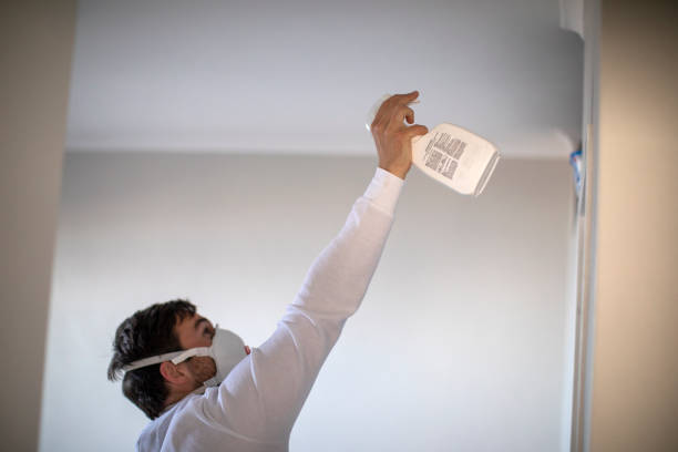 Best Mold Damage Repair  in Saltillo, MS